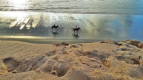 High angle view of people on beach