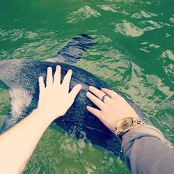 Cropped image of friends touching penguin in lake