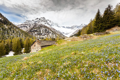 Scenic view of landscape against sky