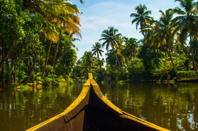 Scenic view of palm trees by lake against sky