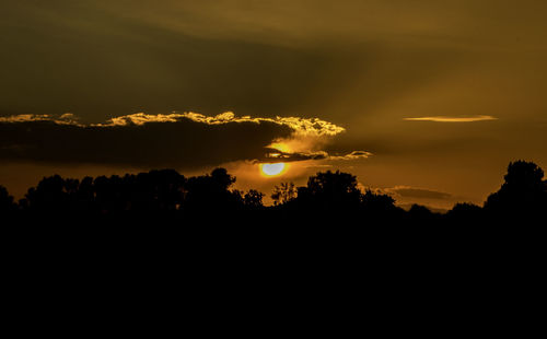 Silhouette trees against sky during sunset