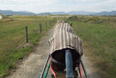 Rear view of person on road amidst field