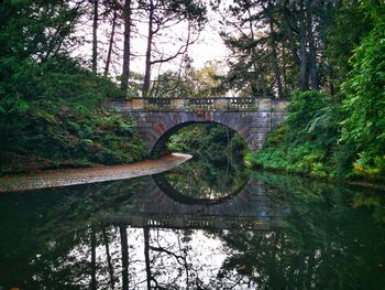 Arch bridge over lake in forest