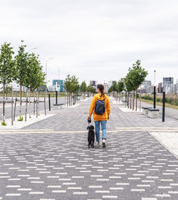 Back view of young woman in yellow hoodie with backpack walking gray shaggy dog on leash along alley