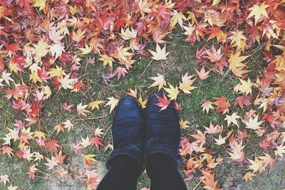 Low section of woman standing on field covered with autumn leaves