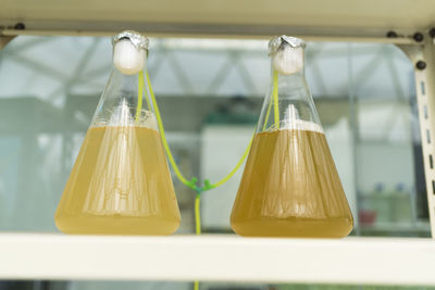 Close-up of yellow lights on glass