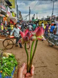 Close-up of hand holding flower in city