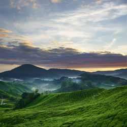 Scenic view of landscape against sky during sunset