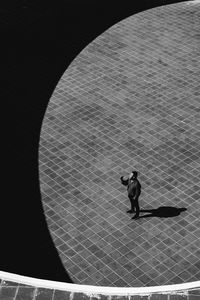 High angle view of people walking on street