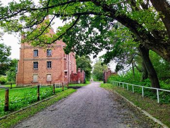 Road amidst trees and buildings