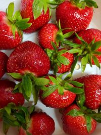 Close-up of strawberries