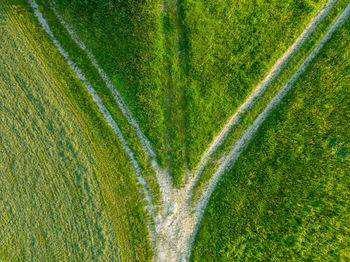 High angle view of agricultural field