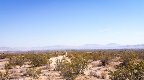 Scenic view of landscape against blue sky