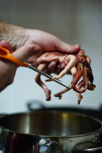 Close-up of hand cutting tentacles over saucepan in kitchen