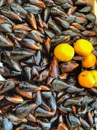 Street food seashells