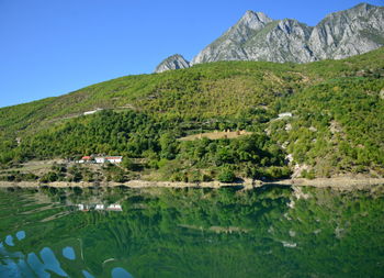 Lake koman is a reservoir on the drin river in northern albania, surrounded by dense forested hills,