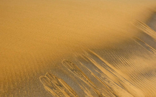 High angle view of sand on beach