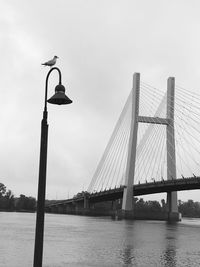 Low angle view of suspension bridge over river against sky