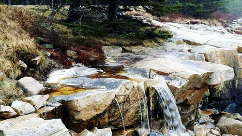 Stream flowing through rocks in forest