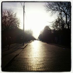 Road passing through bare trees