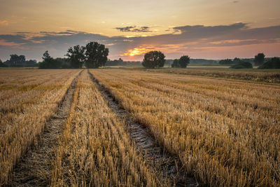 Scenic view of field against sky during sunset