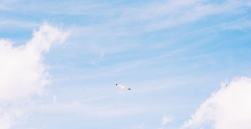 Low angle view of birds flying against cloudy sky