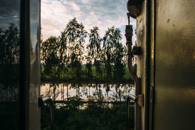 Reflection of trees in lake