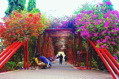 People walking in park