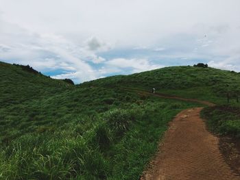 Scenic view of green field against sky