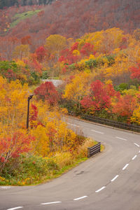 Road amidst trees during autumn