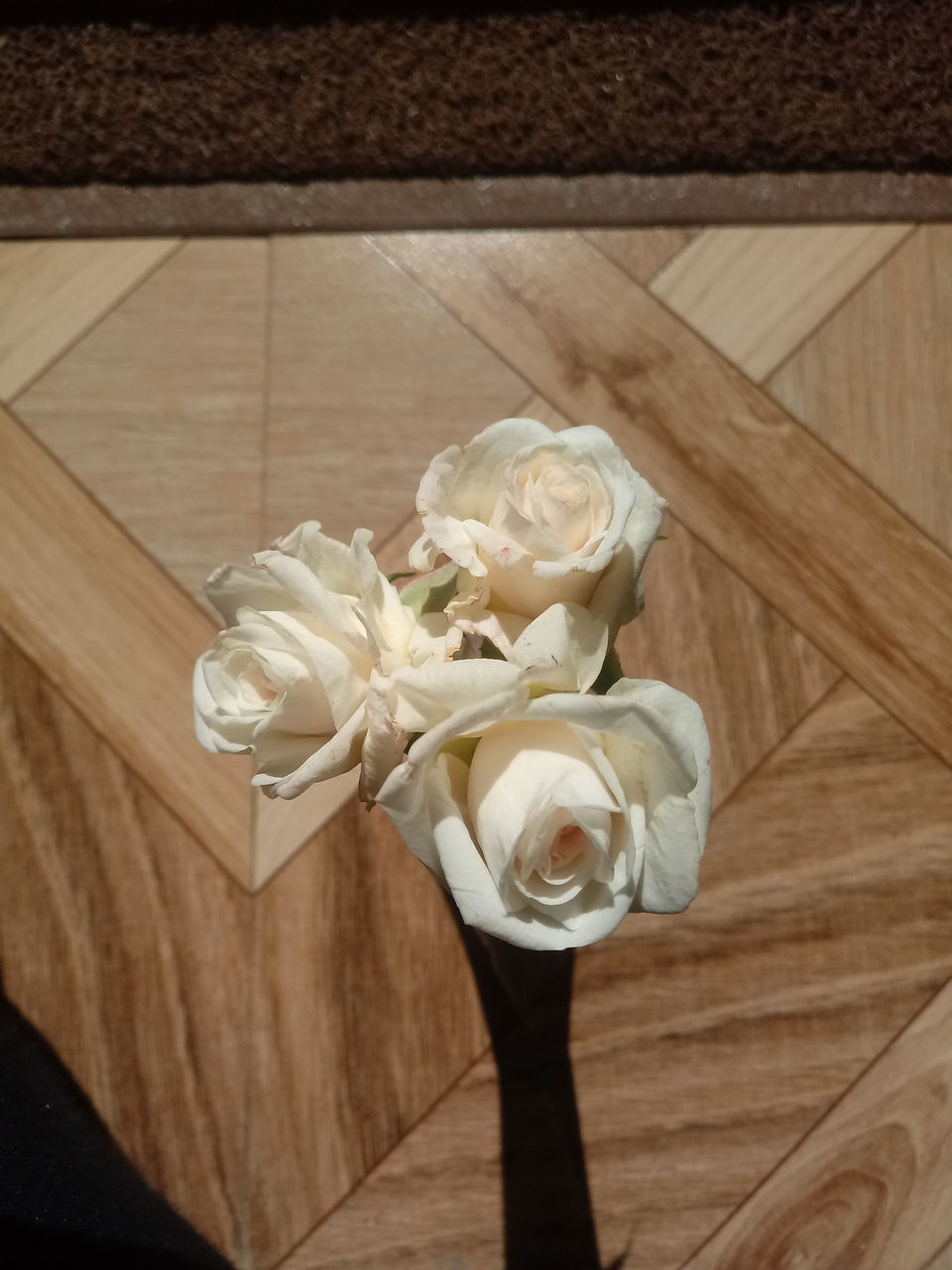 CLOSE-UP OF WHITE ROSE ON FLOOR