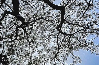 Low angle view of bare tree against sky