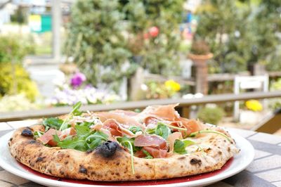 Detail shot of pizza against blurred plants