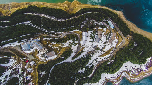 High angle view of trees on land