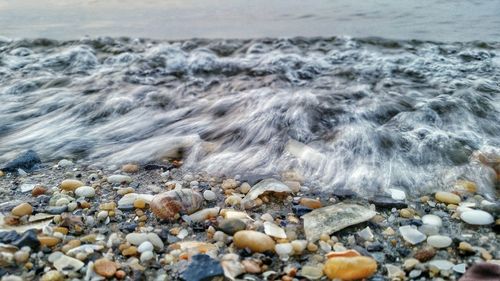 Surface level of rocks at beach