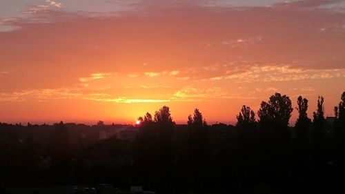 Silhouette trees against sky during sunset