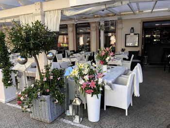 Potted plants on table in restaurant