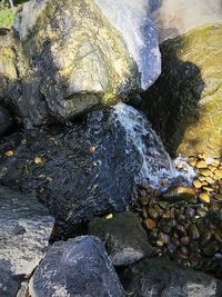 High angle view of rocks in sea