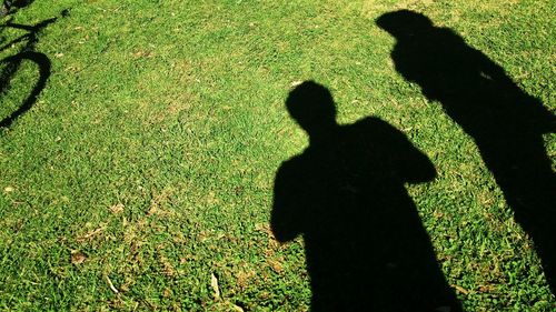 Shadow of man on leaf