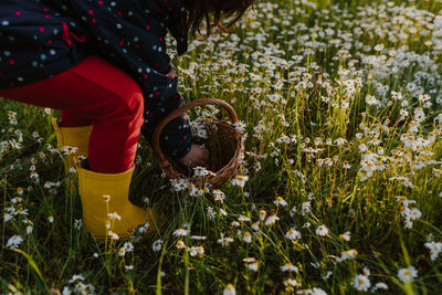 Child picking wild flowers