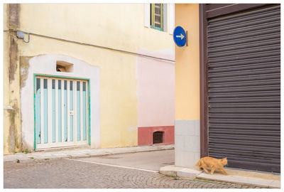 Rear view of woman walking on wall