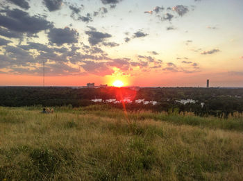 Sun shining through grassy field