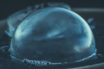 Close-up of duck swimming in water