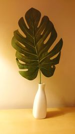 Close-up of plant in vase on table
