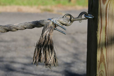 Close-up of rope tied on wood