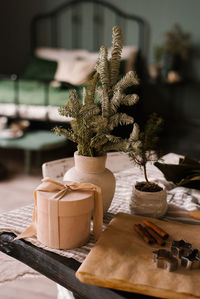 Close-up of potted plant on table