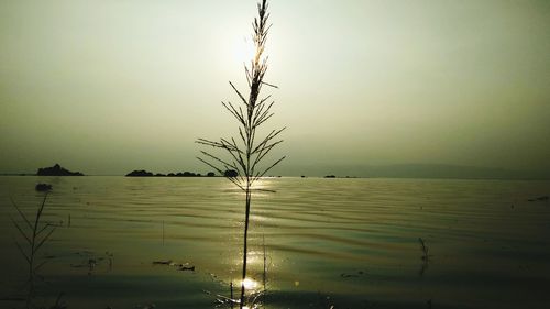 Scenic view of lake against clear sky