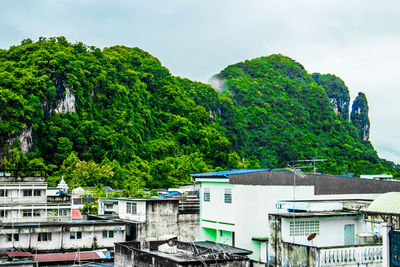 Trees and buildings against sky