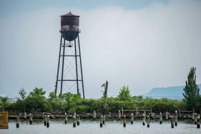 Reflection of trees in water