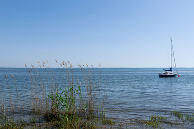 Sailboats sailing in sea against clear sky